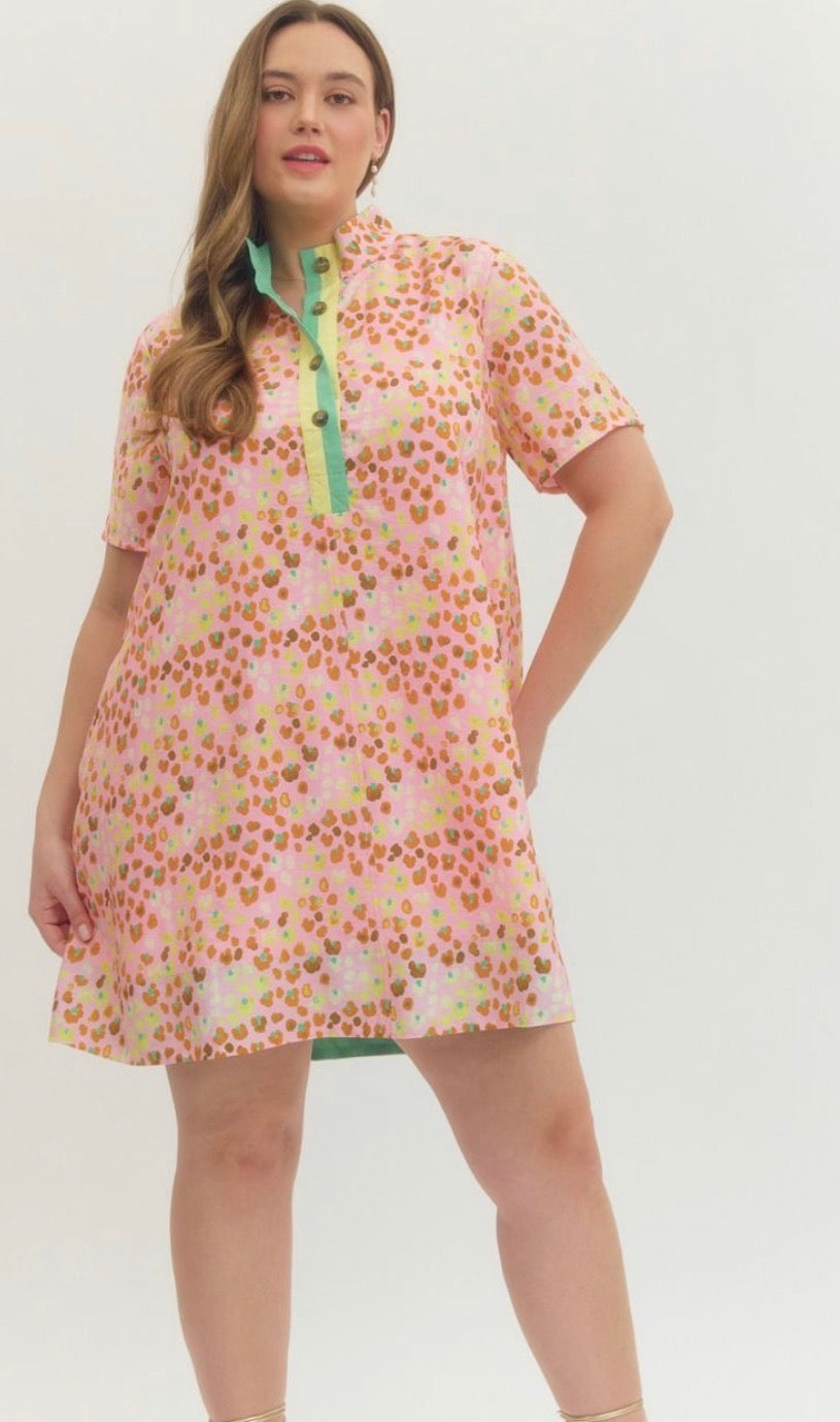 Hailey Print Dress