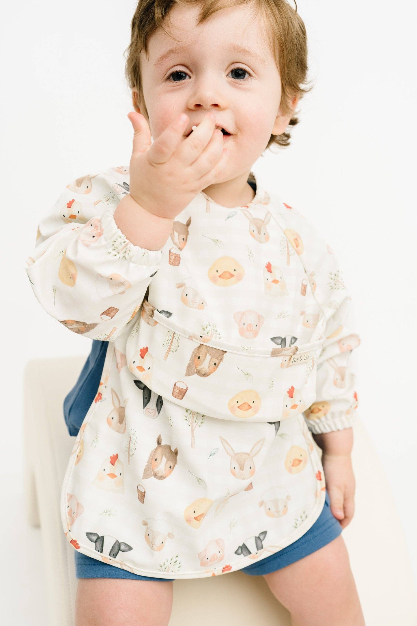 Farm Friends Bib