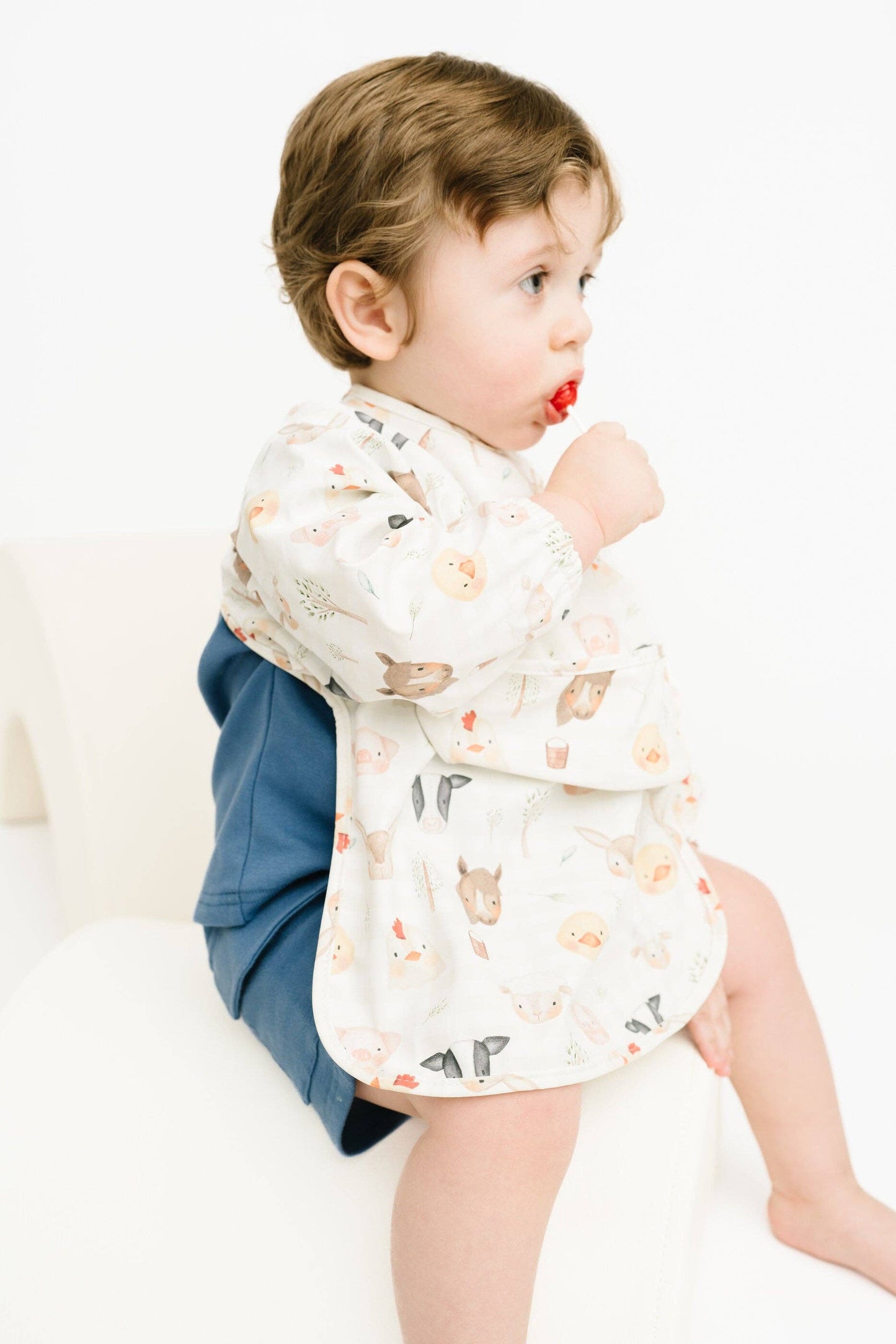 Farm Friends Bib